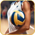 แทงวอลเลย์บอล